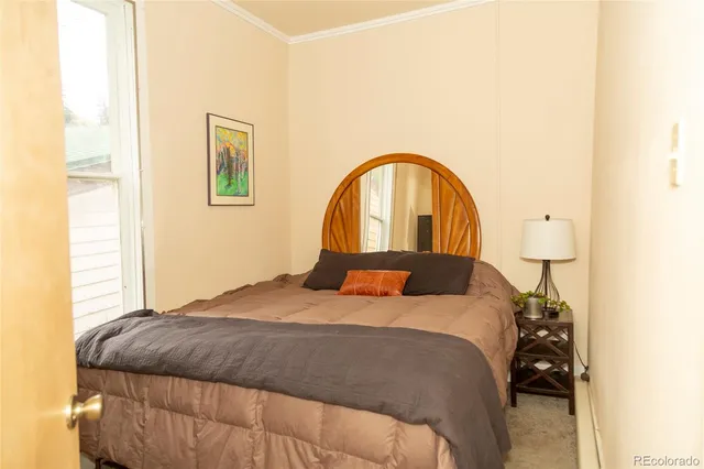 a view of a swimming pool with a patio and plants