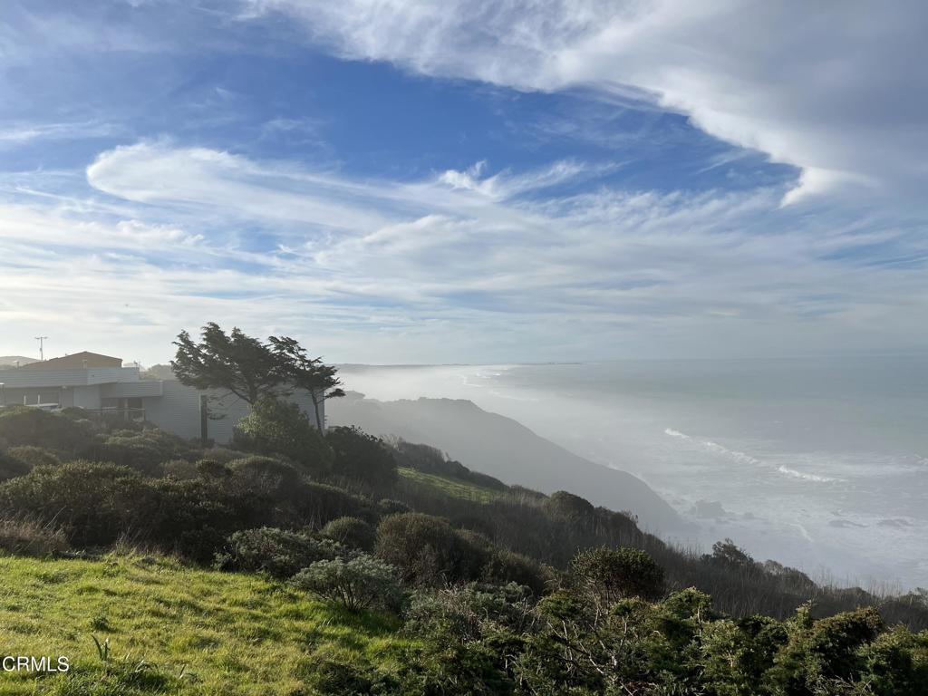 14790 Navarro Way Manchester, CA 95459 - Photo 21 of 26 a view of a yard