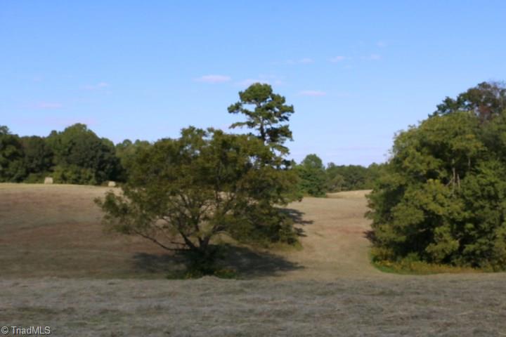 407 Burton Road Advance, NC 27006 - Photo 13 of 37 Gallery Image 13