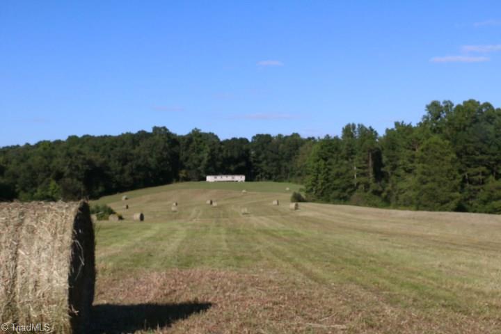 407 Burton Road Advance, NC 27006 - Photo 15 of 37 Gallery Image 15