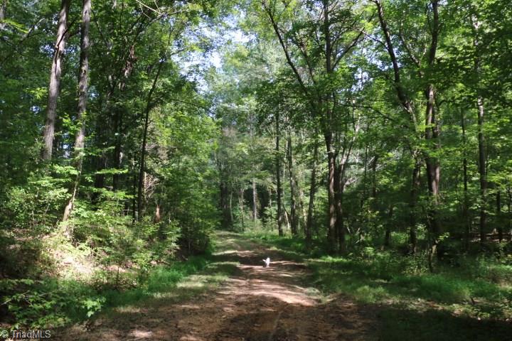 407 Burton Road Advance, NC 27006 - Photo 16 of 37 Gallery Image 16
