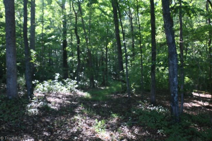 407 Burton Road Advance, NC 27006 - Photo 19 of 37 Gallery Image 19