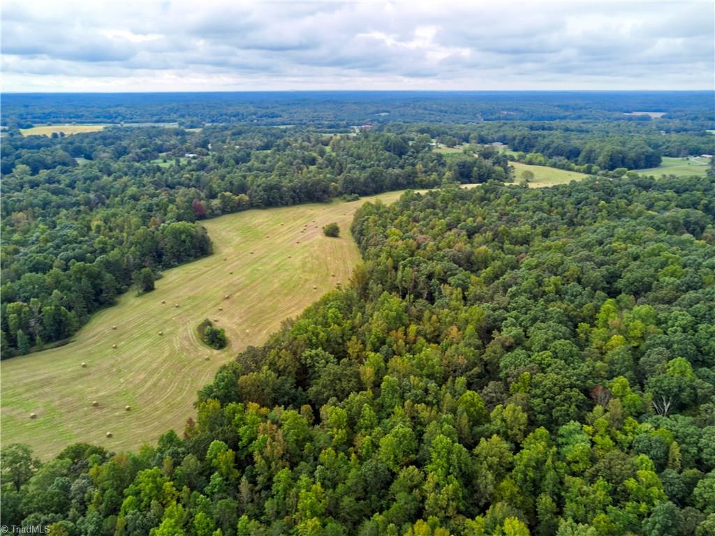 407 Burton Road Advance, NC 27006 - Photo 25 of 37 Gallery Image 25