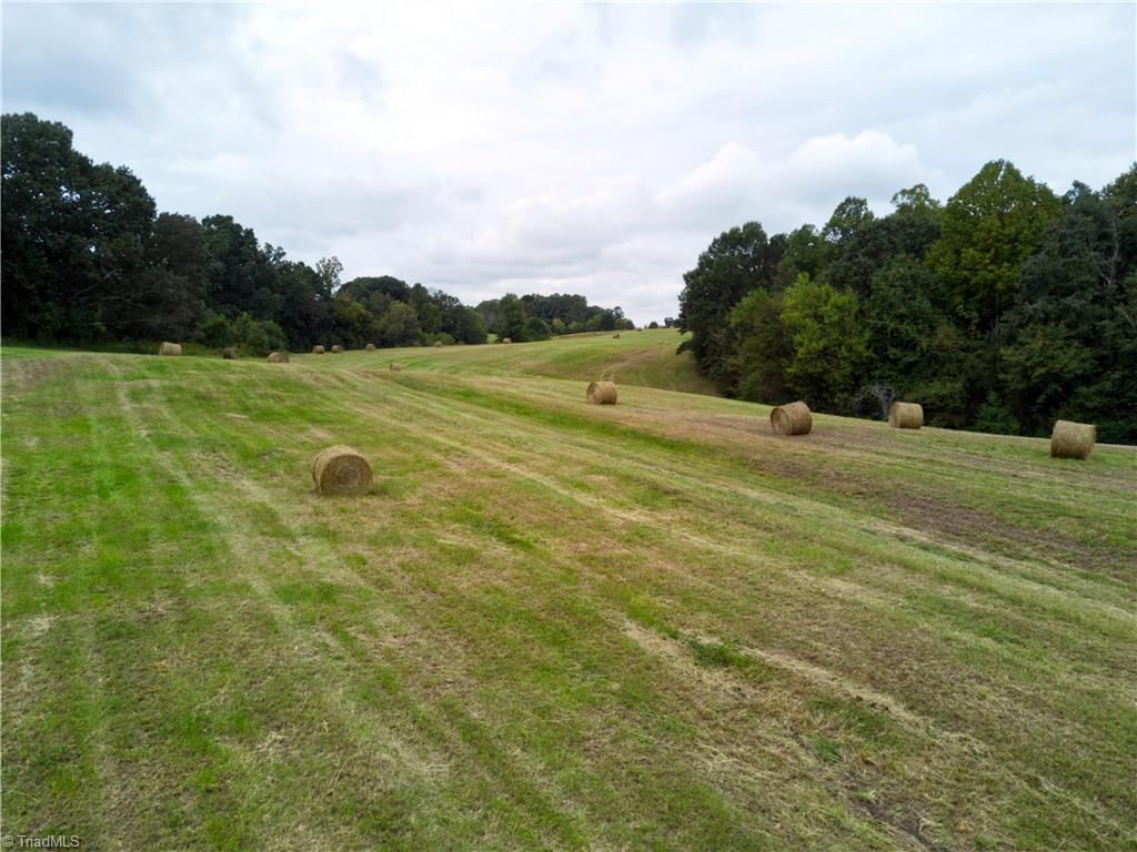 407 Burton Road Advance, NC 27006 - Photo 26 of 37 Gallery Image 26