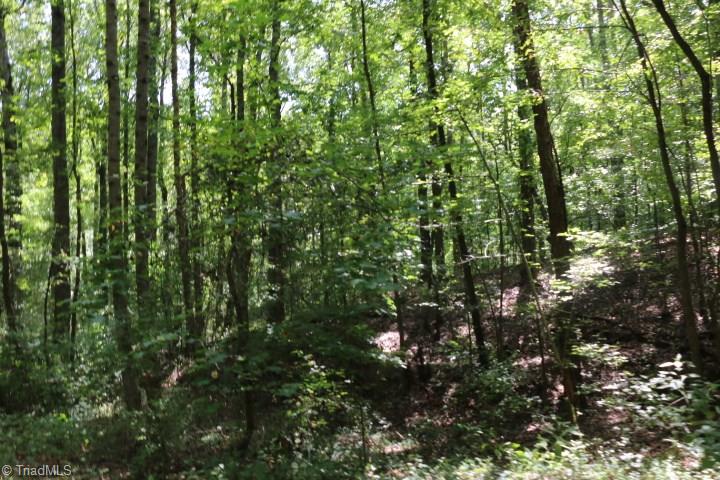 407 Burton Road Advance, NC 27006 - Photo 36 of 37 Gallery Image 36