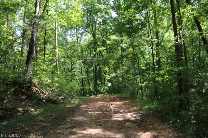 407 Burton Road Advance, NC 27006 - Photo 37 of 37 Gallery Image 37