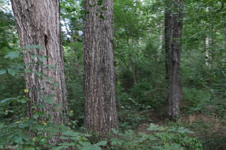 407 Burton Road Advance, NC 27006 - Photo 8 of 37 Gallery Image 8