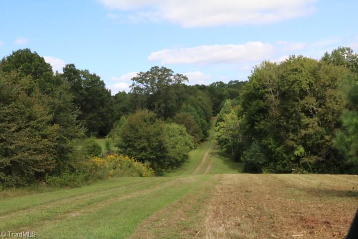 407 Burton Road Advance, NC 27006 - Photo 9 of 37 Gallery Image 9