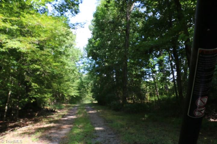 407 Burton Road Advance, NC 27006 - Photo 10 of 37 Gallery Image 10
