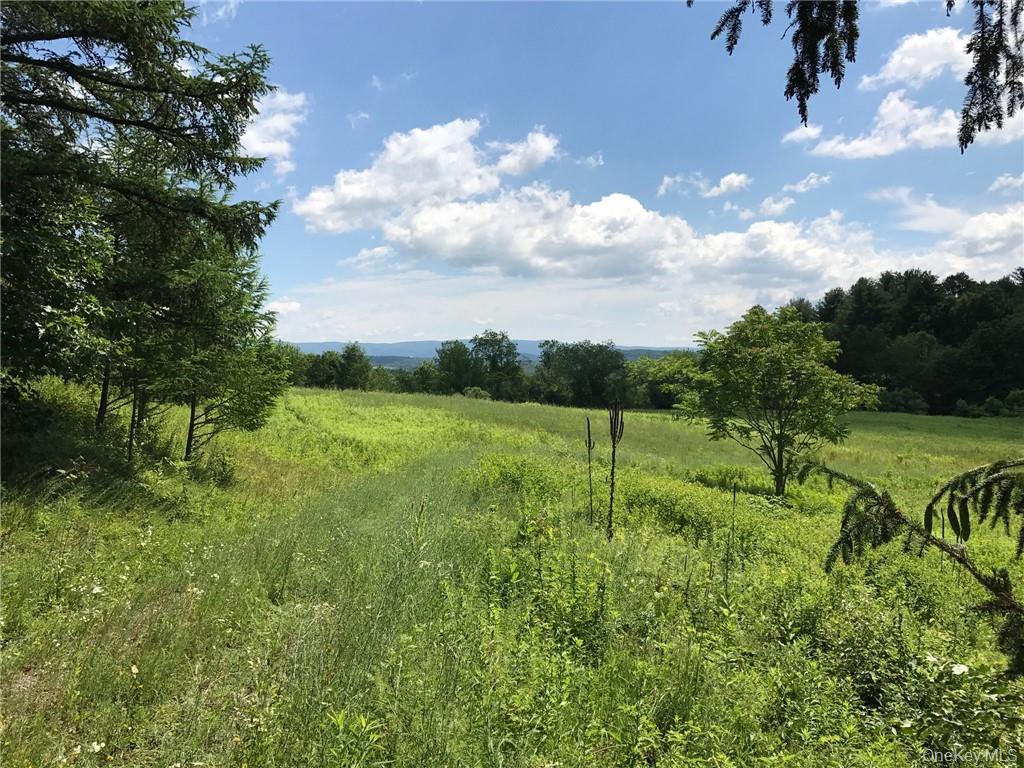 7 County Route Ancram, NY 12567 - Photo 11 of 32 a view of a lush green space
