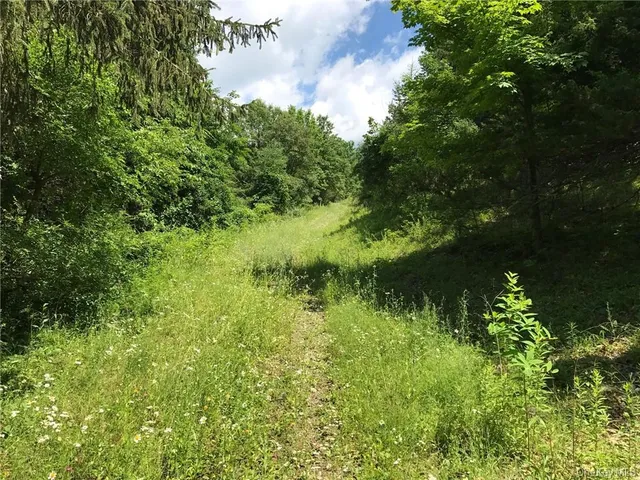 a view of lake with green space