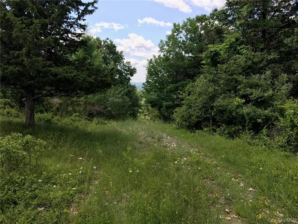 7 County Route Ancram, NY 12567 - Photo 14 of 32 a view of a lush green space
