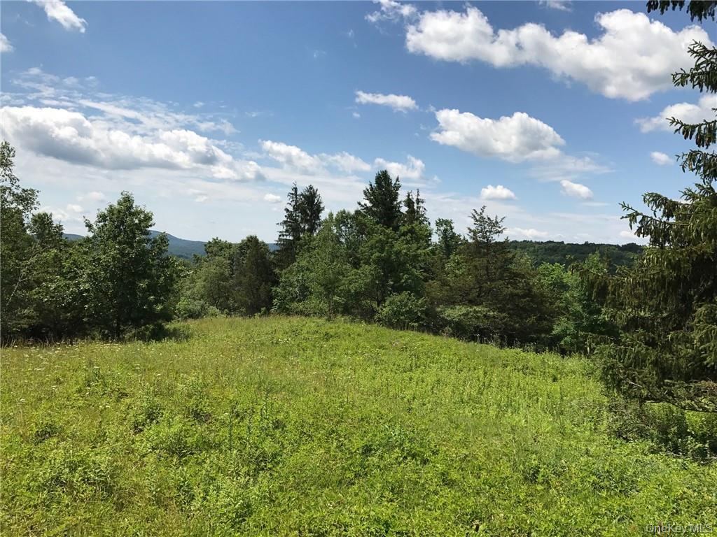 7 County Route Ancram, NY 12567 - Photo 17 of 32 a view of an outdoor space and a yard