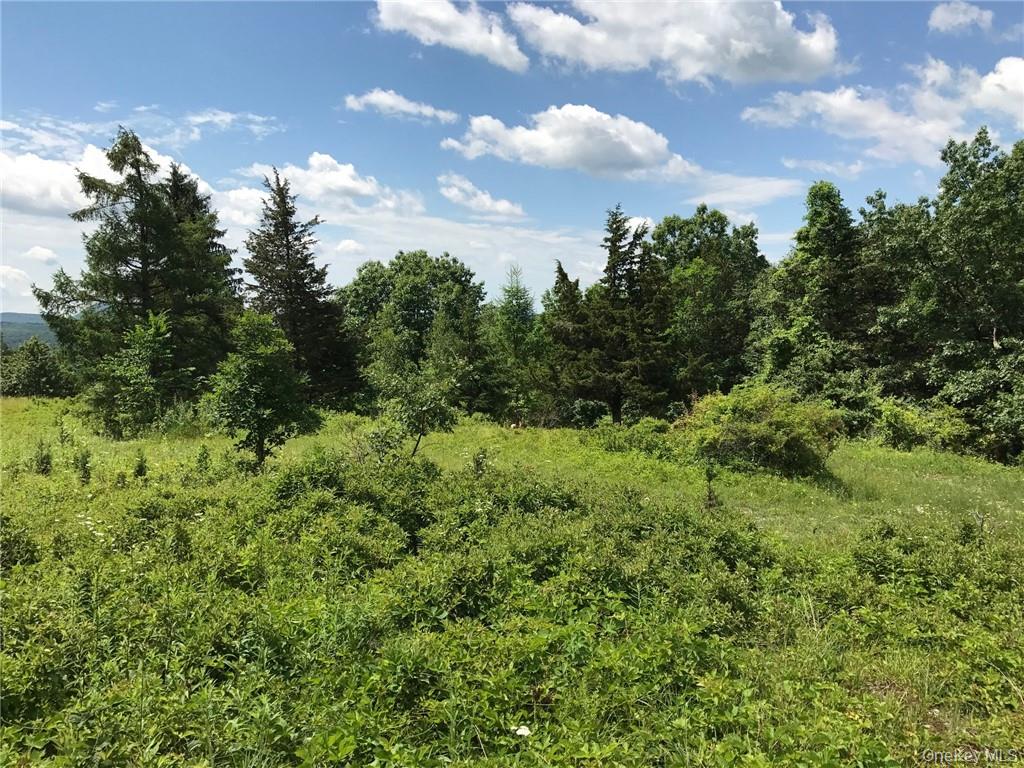 7 County Route Ancram, NY 12567 - Photo 19 of 32 a view of a bunch of trees