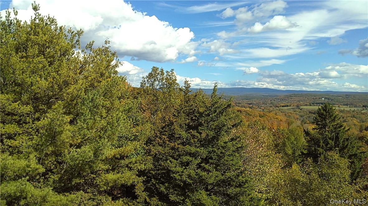 7 County Route Ancram, NY 12567 - Photo 2 of 32 a view of a lake with houses in the back
