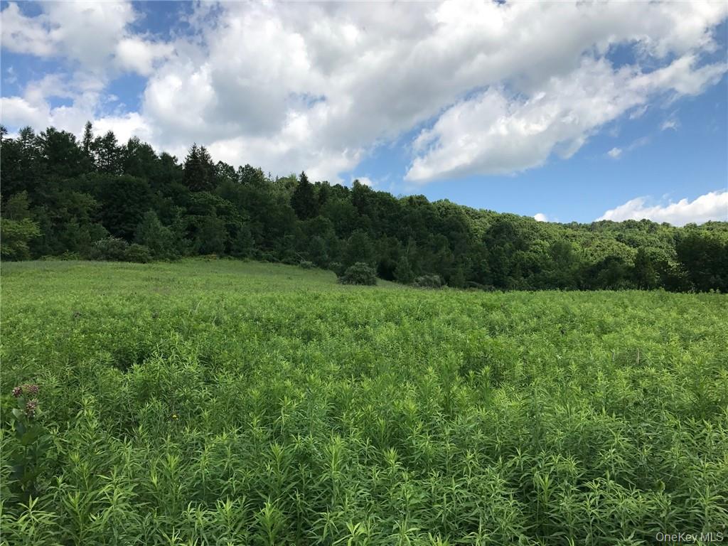 7 County Route Ancram, NY 12567 - Photo 22 of 32 a view of a big yard with potted plants and big yard