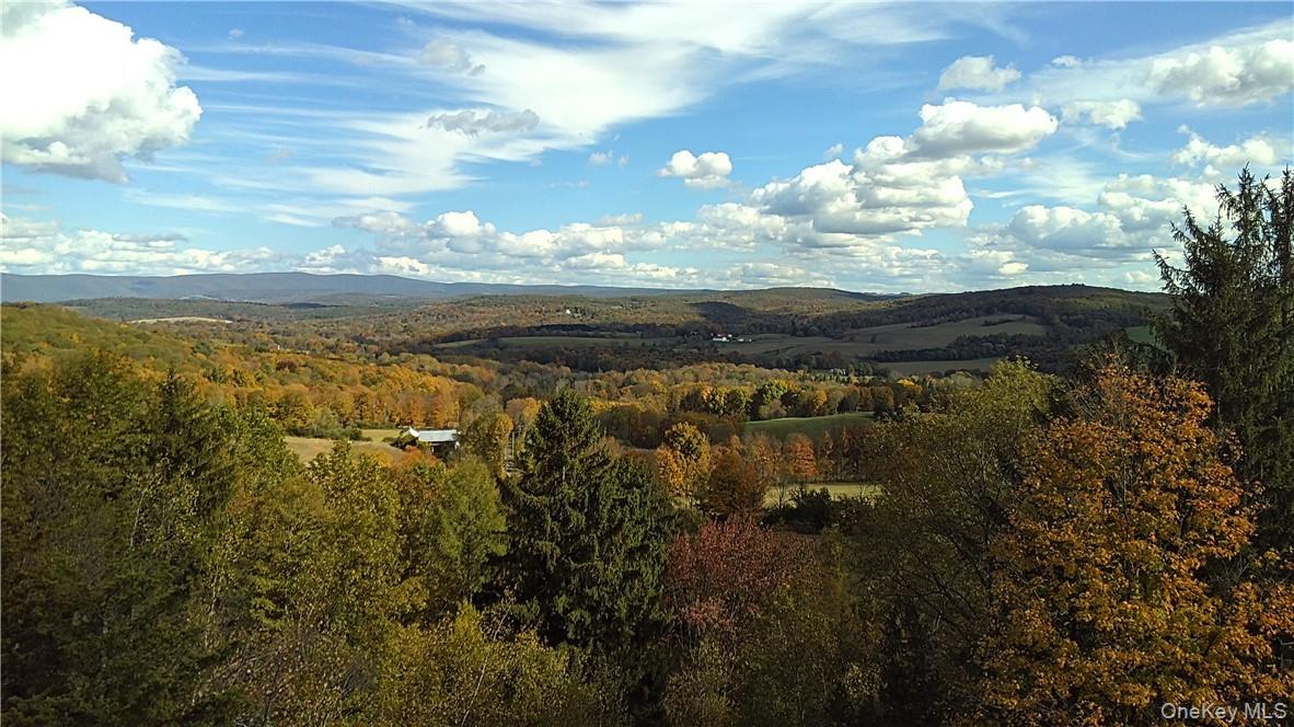 7 County Route Ancram, NY 12567 - Photo 23 of 32