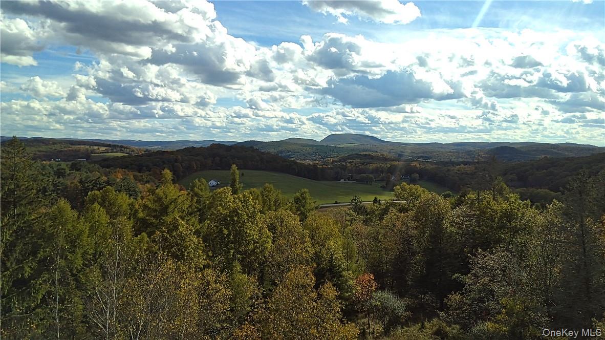 7 County Route Ancram, NY 12567 - Photo 25 of 32 a view of a lake in middle of forest