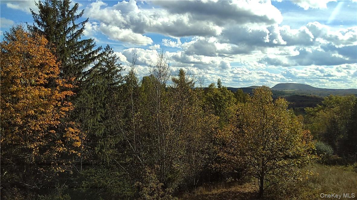 7 County Route Ancram, NY 12567 - Photo 26 of 32 a view of lake