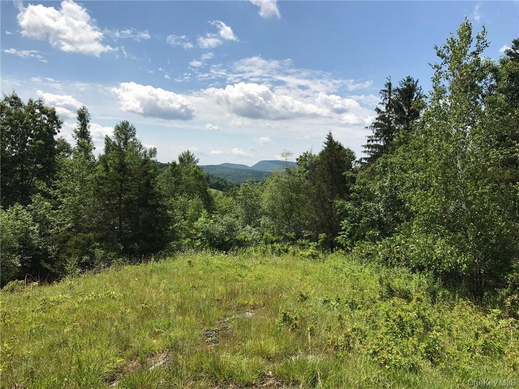 7 County Route Ancram, NY 12567 - Photo 5 of 32 a view of outdoor space and trees