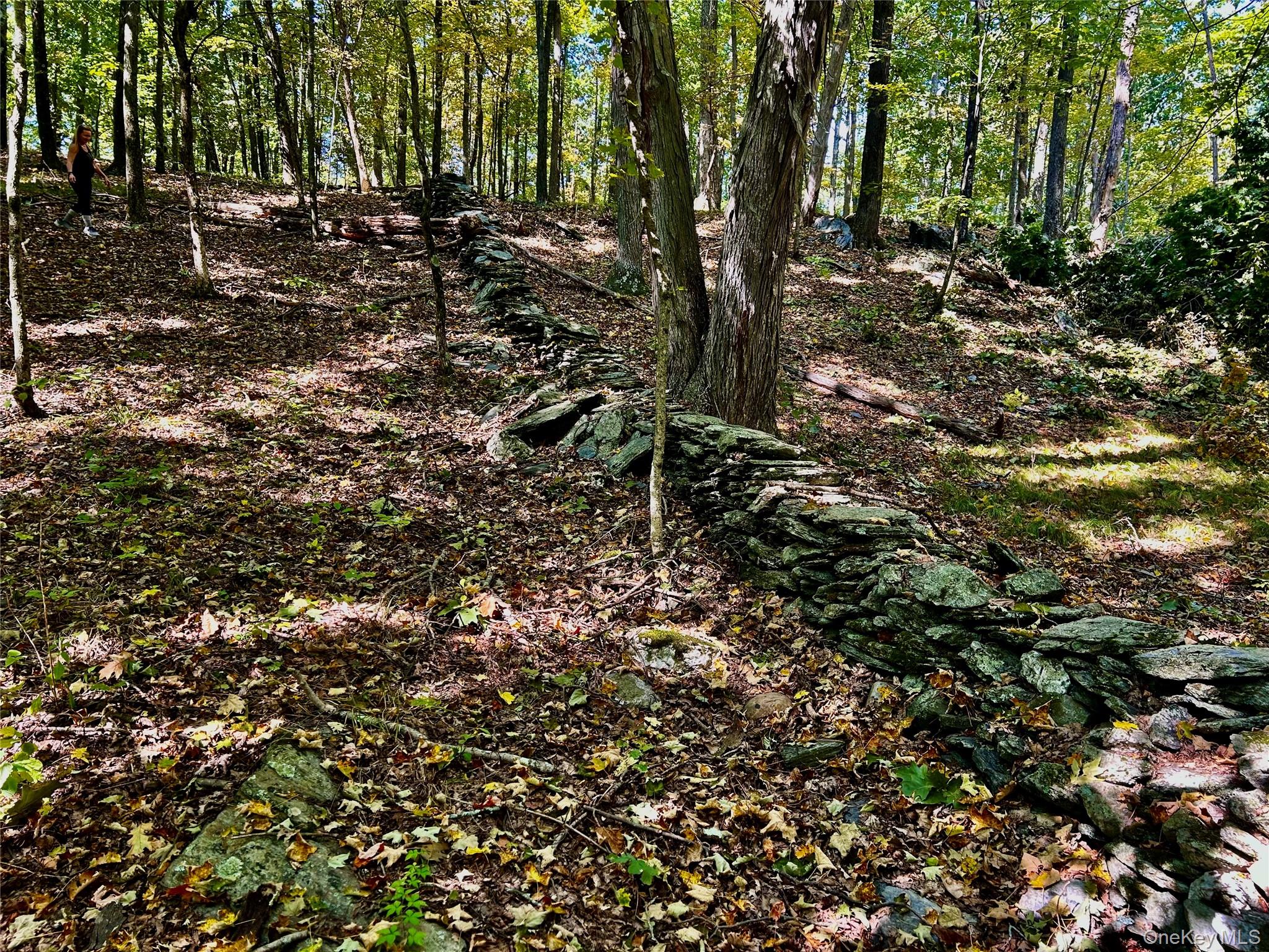 7 County Route Ancram, NY 12567 - Photo 8 of 32 a view of a forest that has a tree