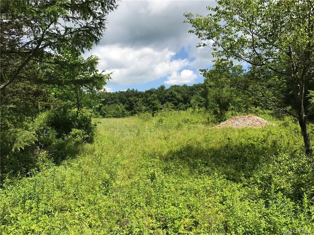 7 County Route Ancram, NY 12567 - Photo 9 of 32 a view of lake with green space