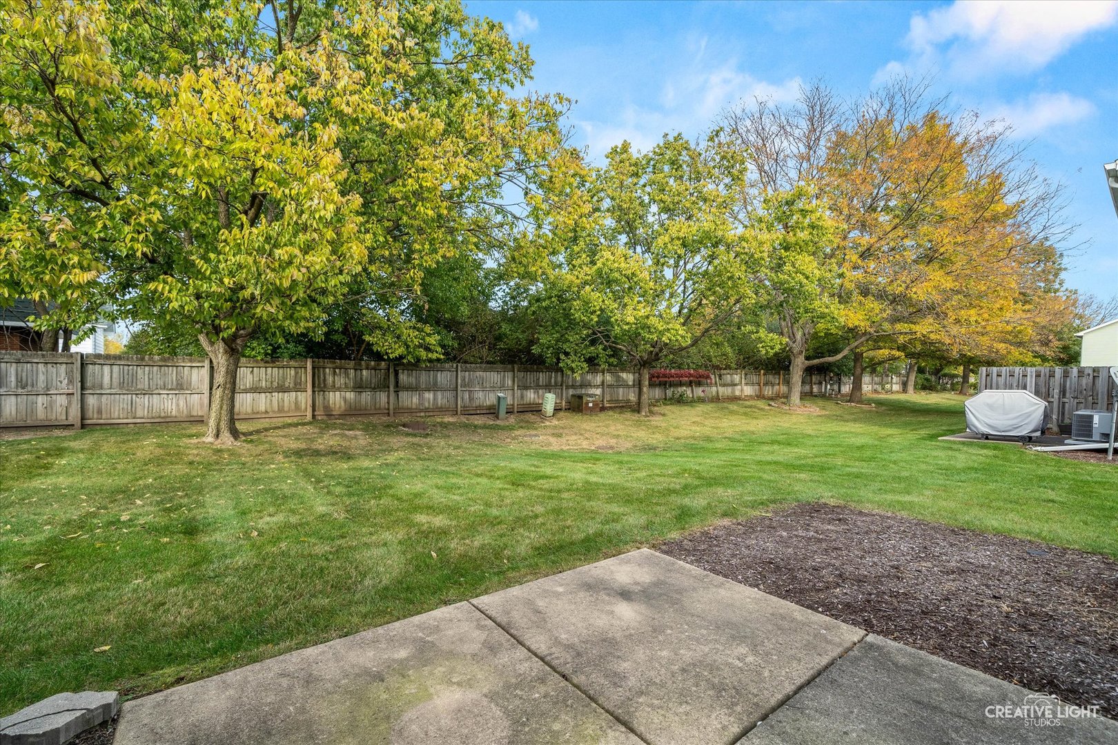378 Lakeview Circle Bolingbrook, IL 60440 - Photo 15 of 19 a view of a park with large trees