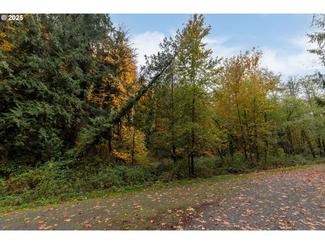 a view of backyard with green space