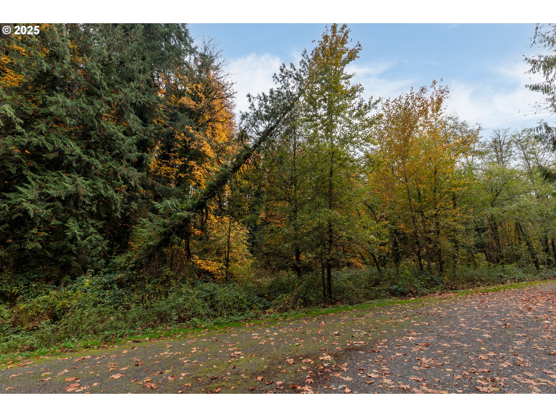 0 Lindberg Road Rainier, OR 97048 - Photo 6 of 9