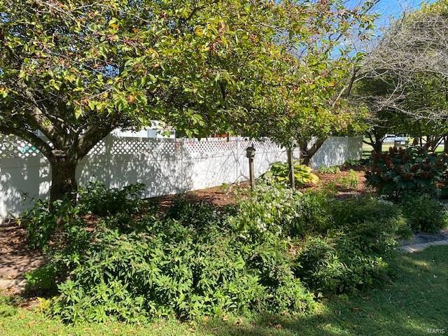 4413 Seiler Road Dorsey, IL 62021 - Photo 9 of 11