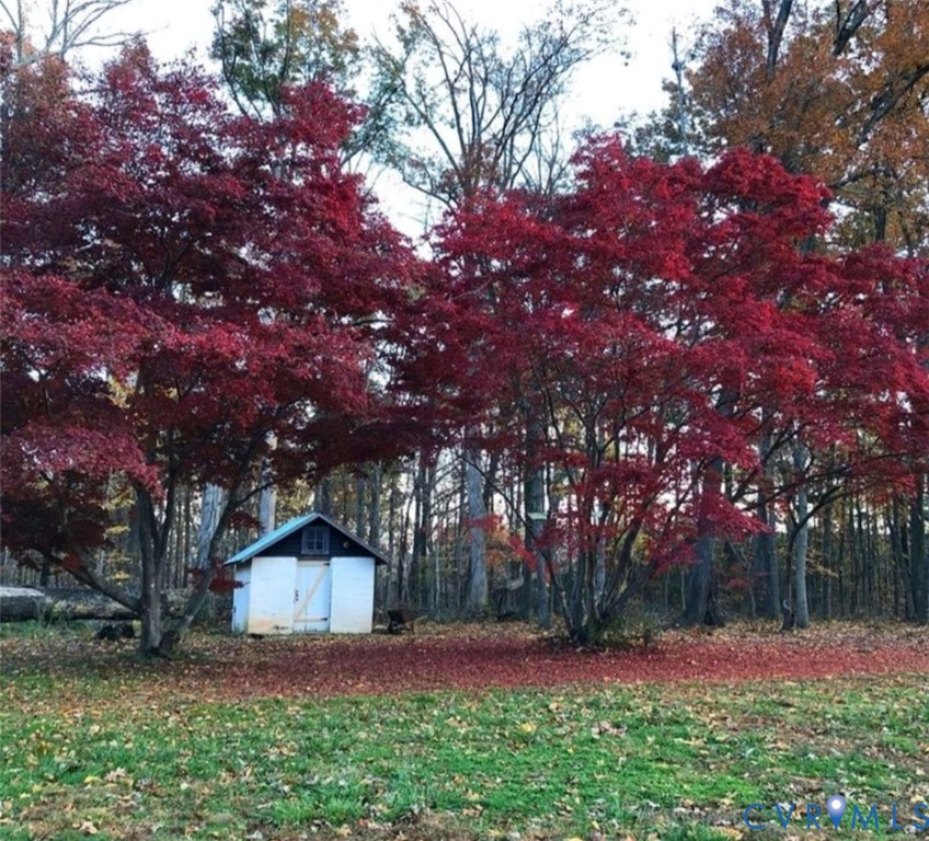 2800 Nottoway Boulevard Victoria, VA 23974 - Photo 42 of 50 a view of a backyard with large trees