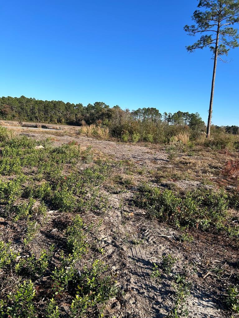 Lot 1 Cartertown Road Alma, GA 31510 - Photo 4 of 8 Gallery Image 4
