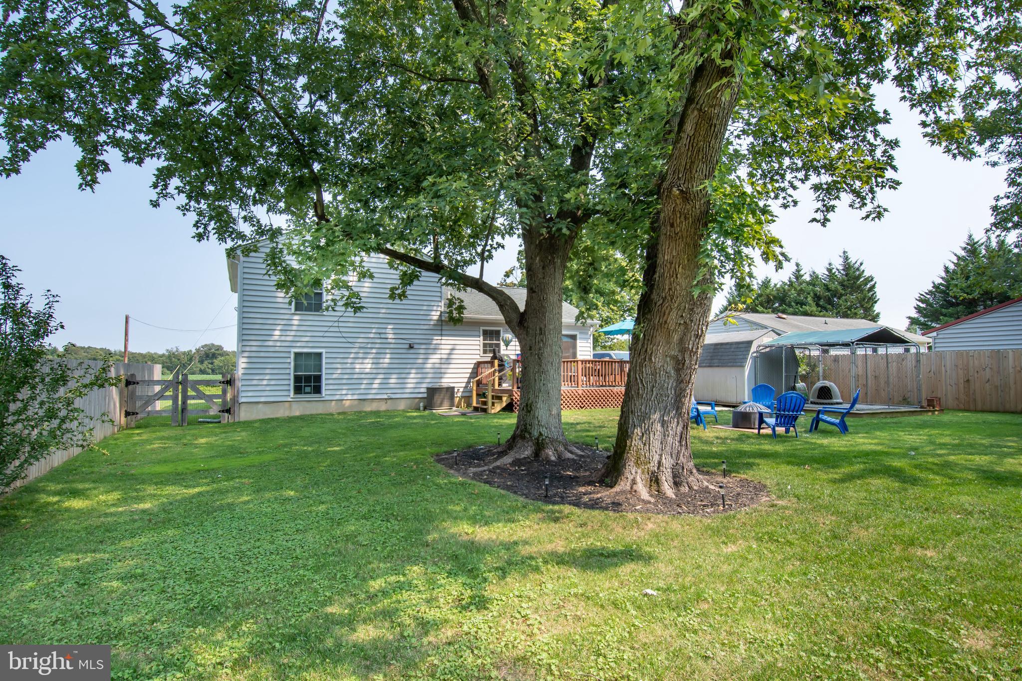 25131 Smithville Road Worton, MD 21678 - Photo 25 of 29 Beautiful mature trees