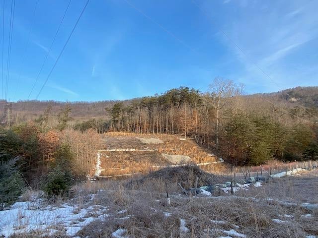 Tbd Flatwoods Road Elliston, VA 24087 - Photo 5 of 13 Gallery Image 5