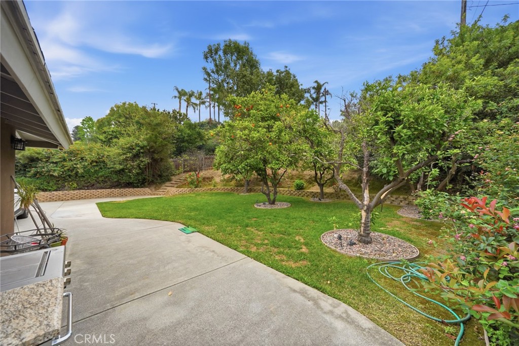706 Nancy Lane Fullerton, CA 92831 - Photo 41 of 56 a view of a garden with a fountain