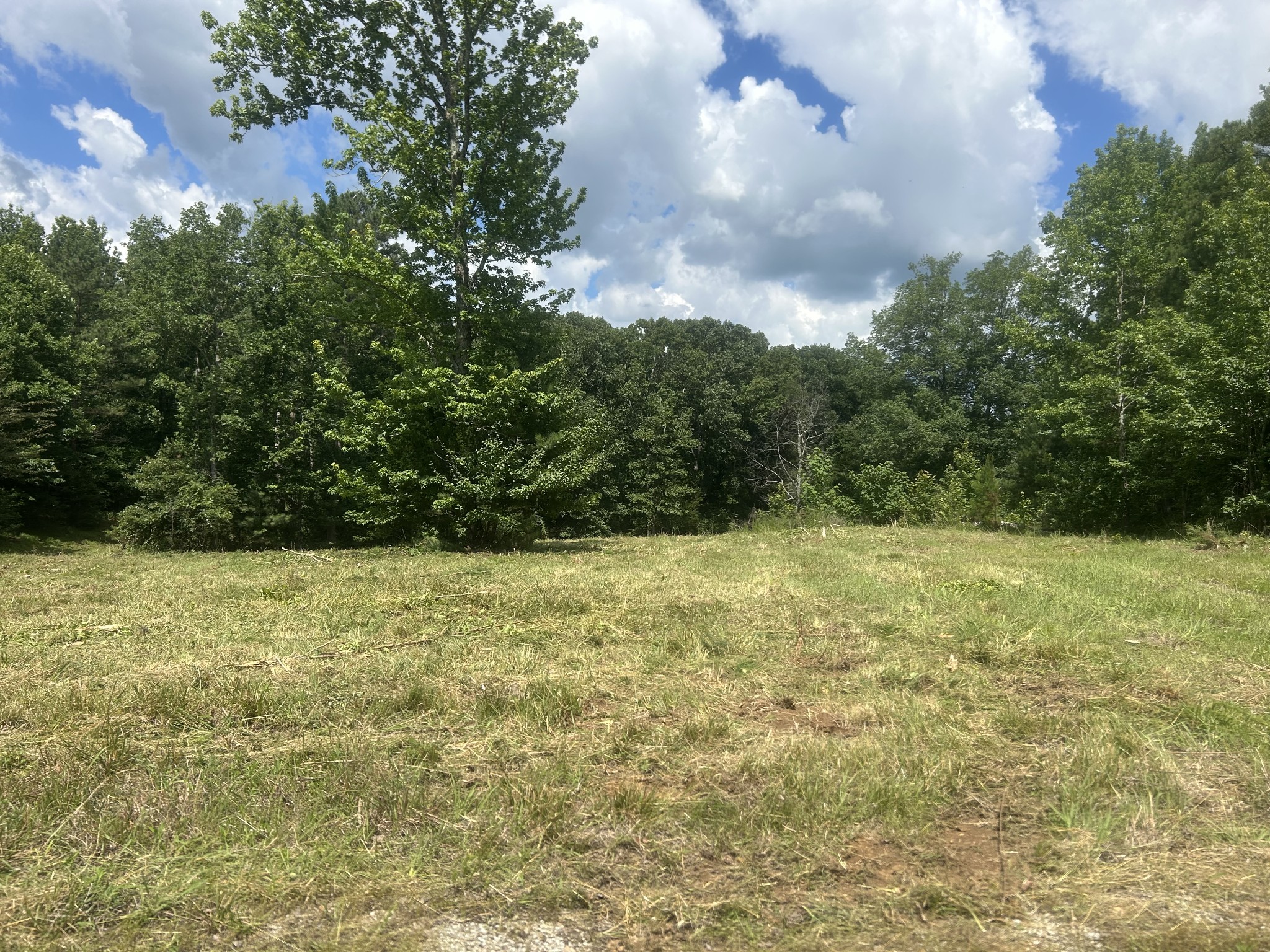 760 Chestnut Hill Road Eva, TN 38333 - Photo 1 of 10