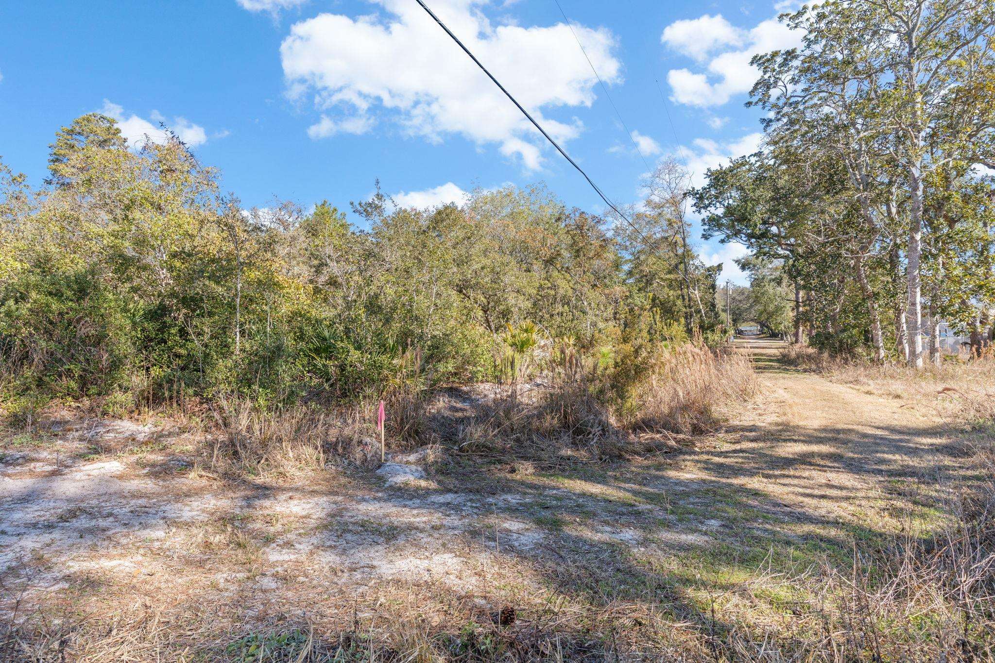 115 Kansas Street Carrabelle, FL 32322 - Photo 12 of 18