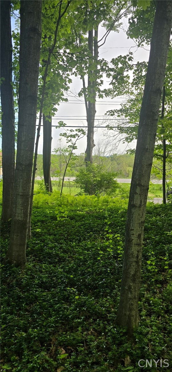 Saunders Road Clinton, NY 13323 - Photo 8 of 11