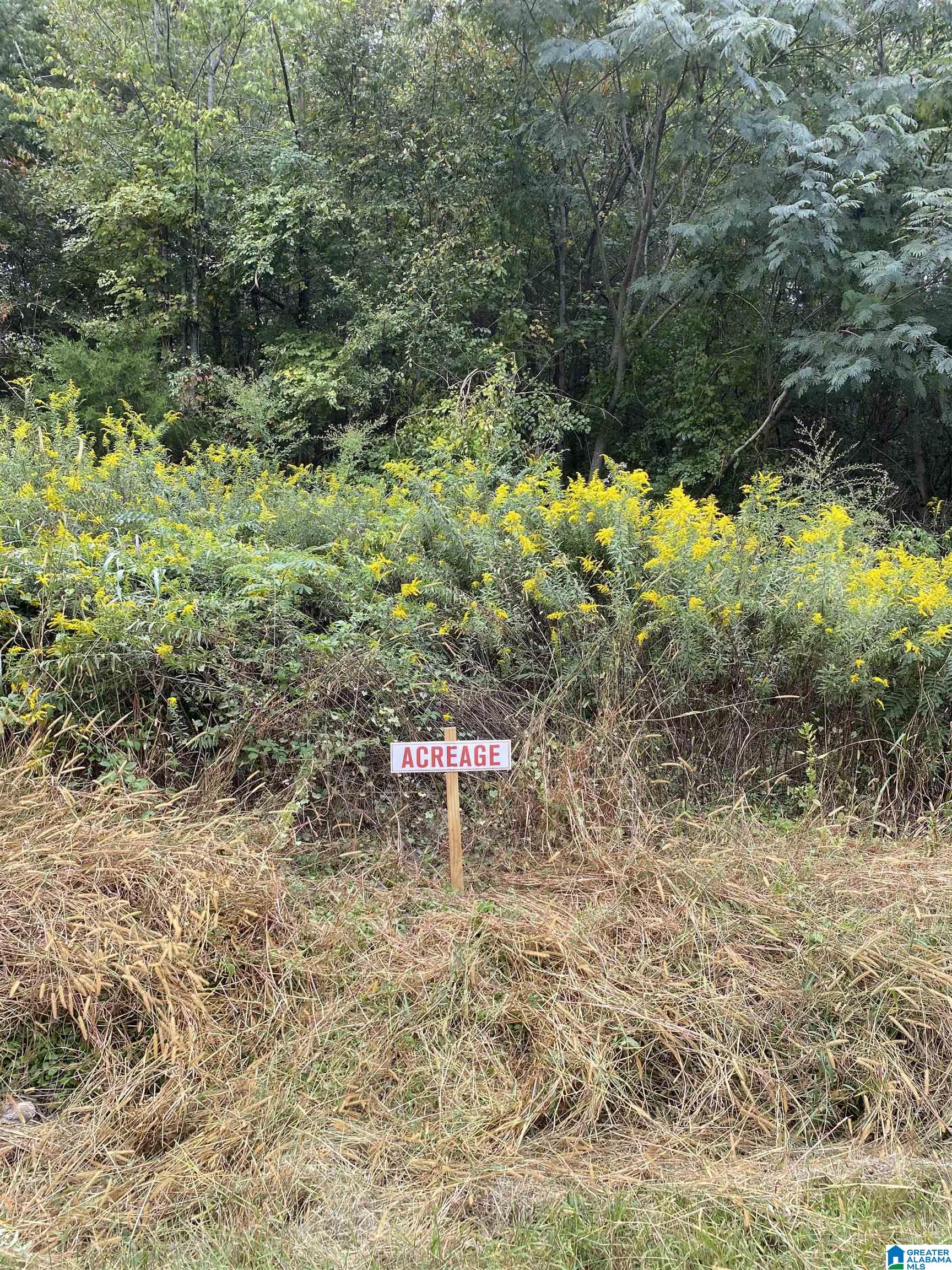Lincoln Road, Unit 6 0 Cleveland, AL 35049 - Photo 9 of 12