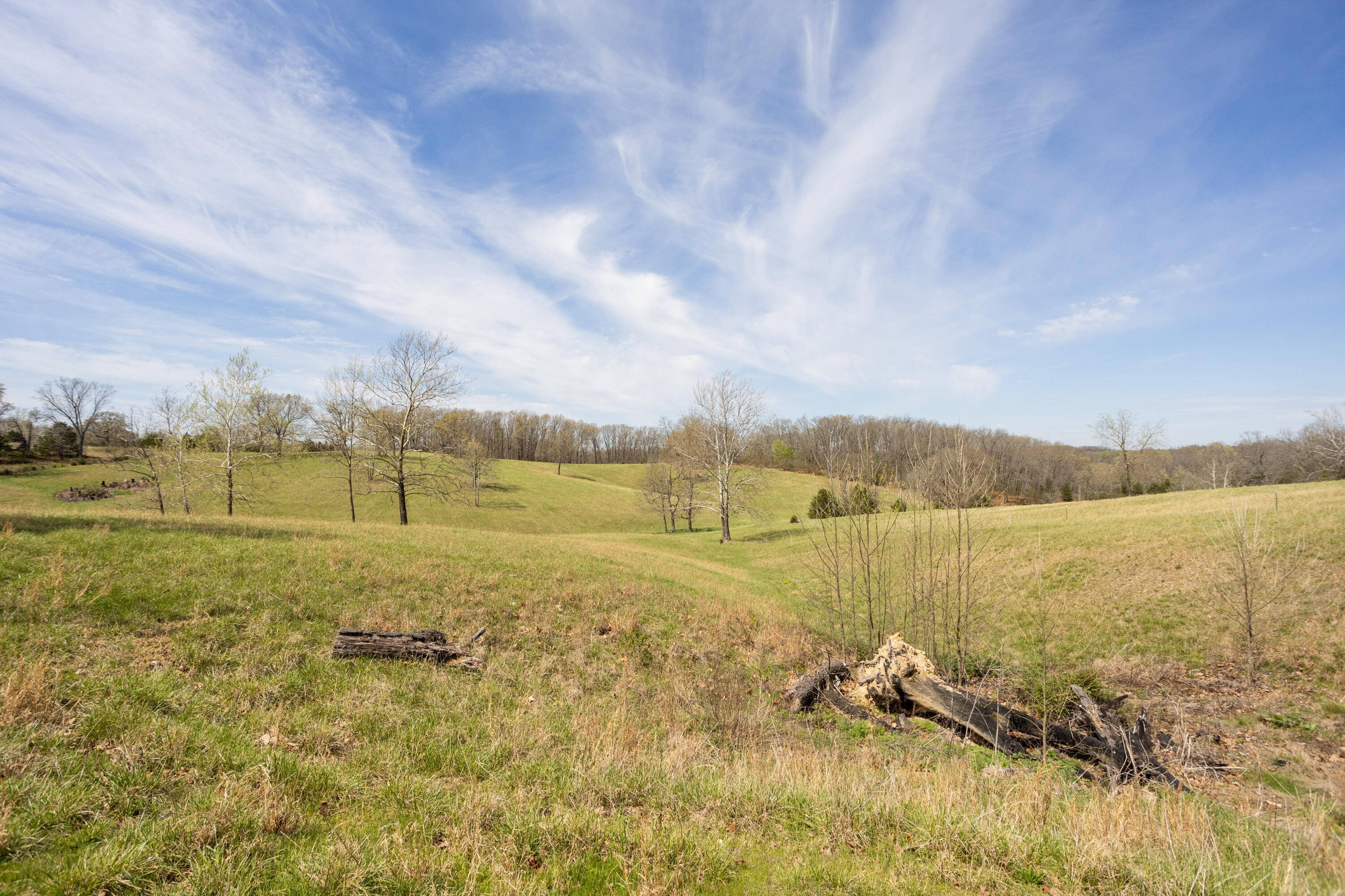 9795 Co Road Ava, MO 65608 - Photo 55 of 93 Douglas198(MLSRES)-57