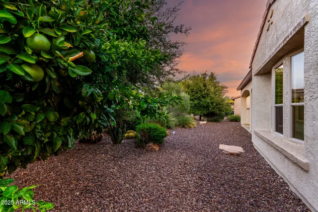 a view of a yard with plants