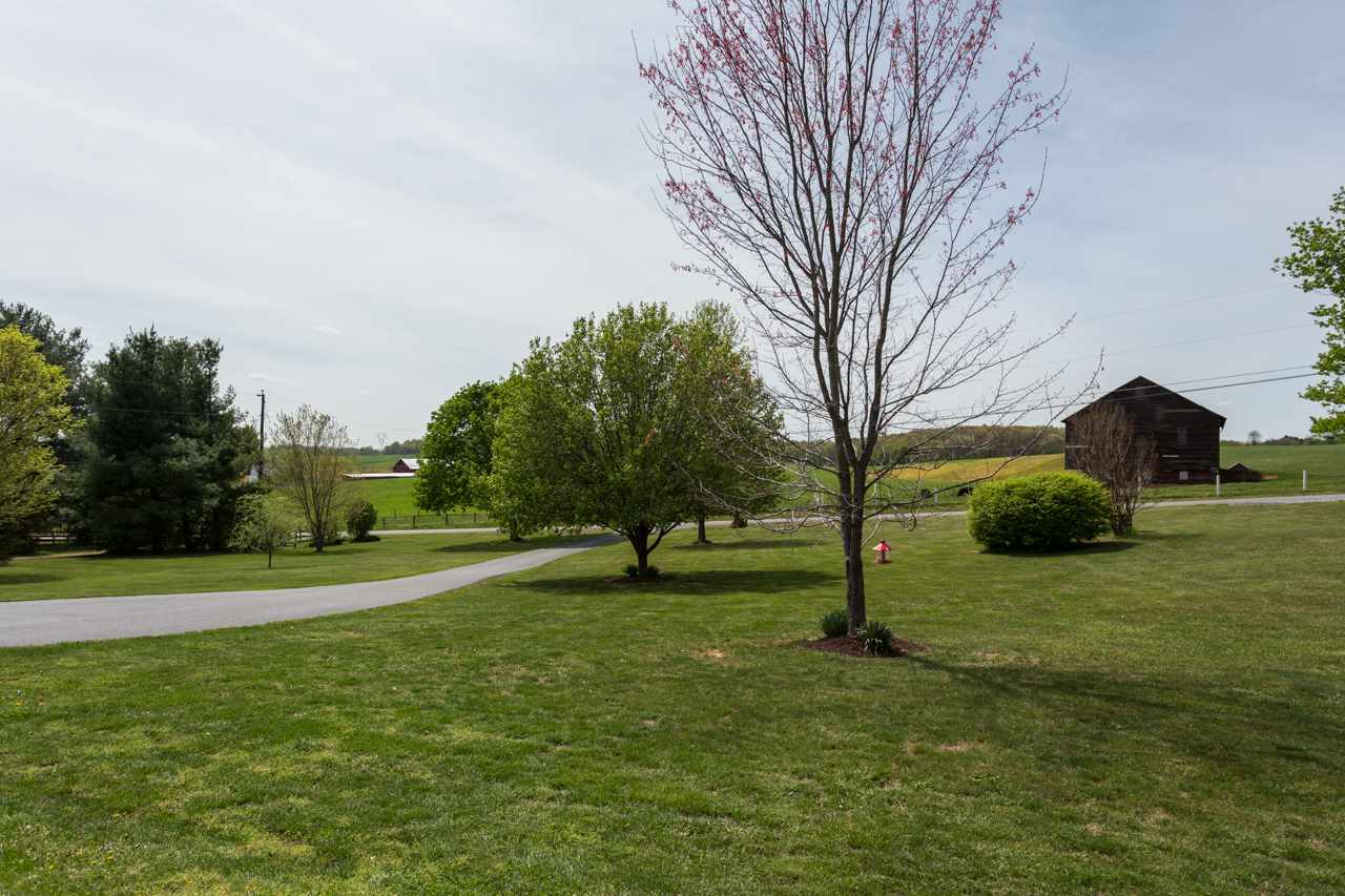 695 Brower Road Waynesboro, VA 22980 - Photo 39 of 50 a view of a park with large trees