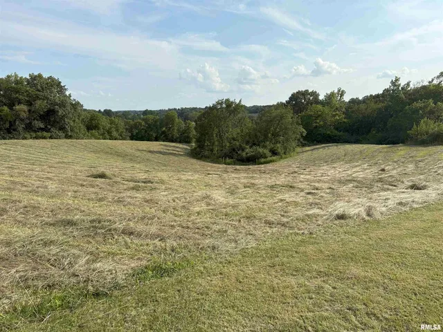 $69,900 | Lot 4 Fyre Lake Drive, Sherrard, IL 61281