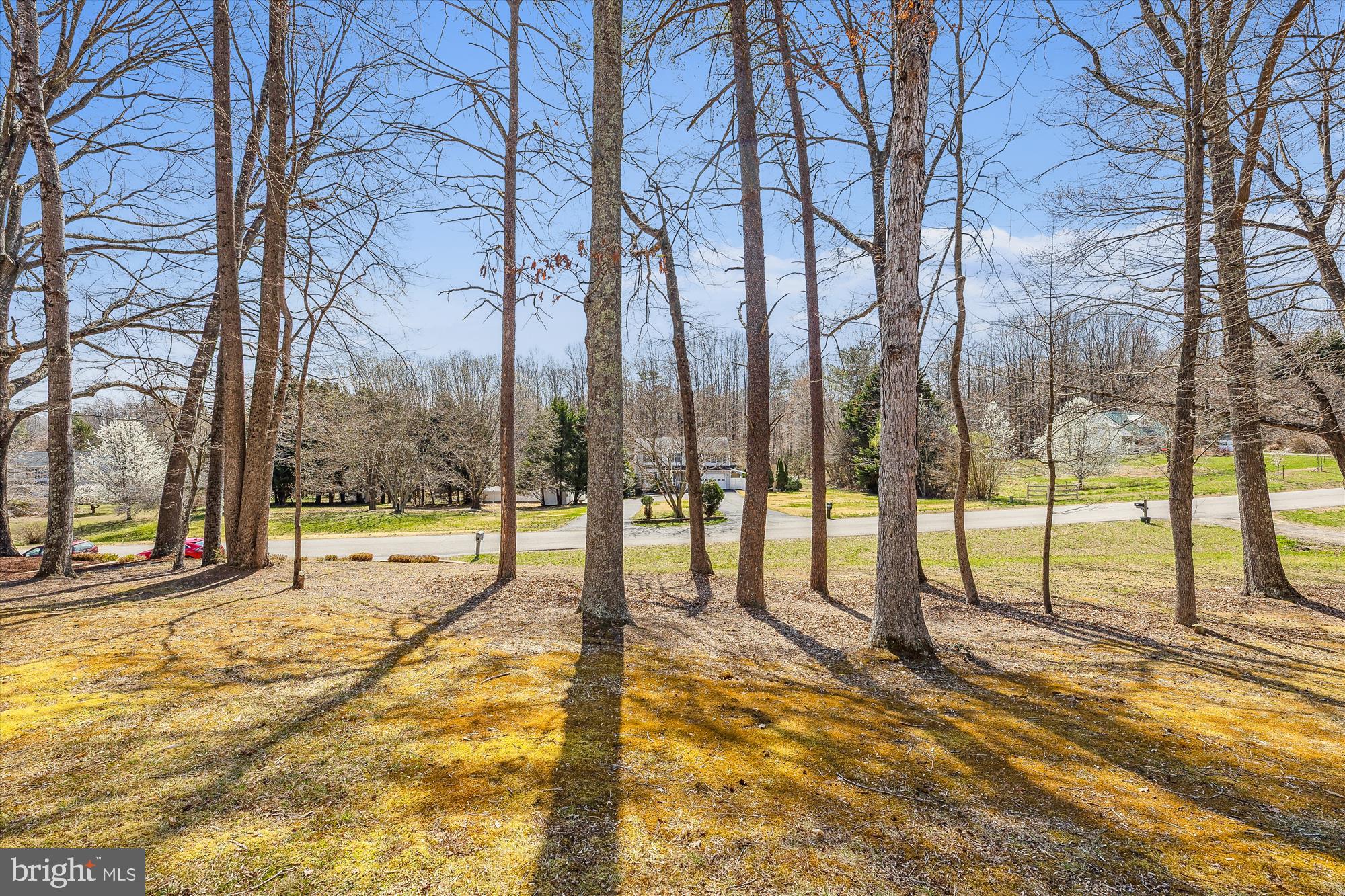 16130 Inheritance Drive Brandywine, MD 20613 - Photo 37 of 39