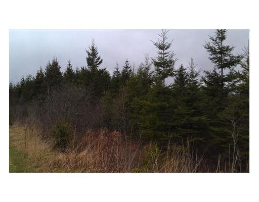 Lot 3 Pine Road Hersey, ME 04765 - Photo 4 of 6 Land/Lot.