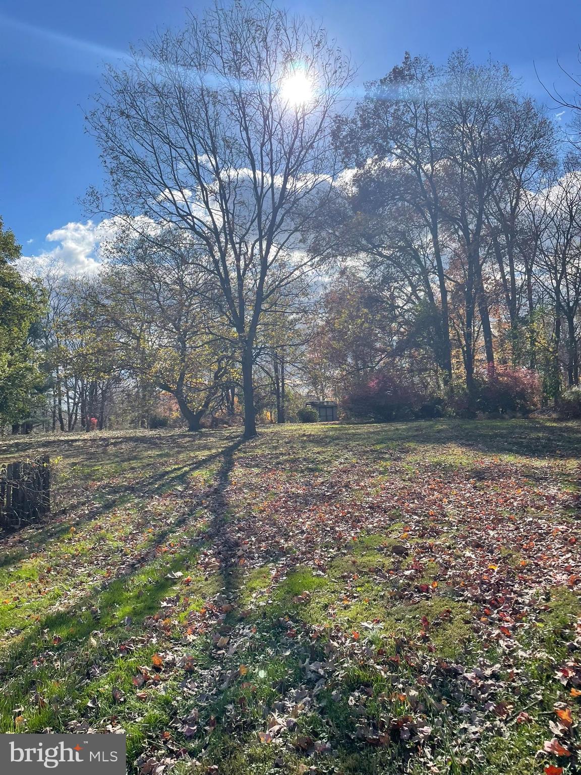 256 Line Road Kennett Square, PA 19348 - Photo 19 of 21 a view of a yard with plants and trees