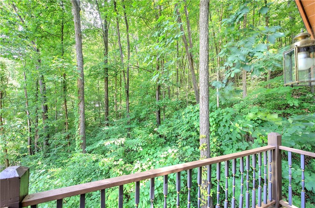 331 Salacoa Road Southeast Fairmount, GA 30139 - Photo 70 of 87