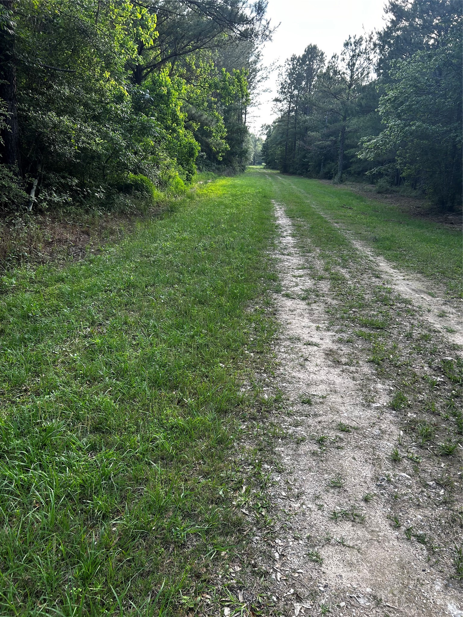 0 County Line Road Shepherd, TX 77371 - Photo 27 of 50