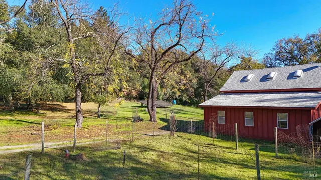 a view of a chairs and table in the backyard