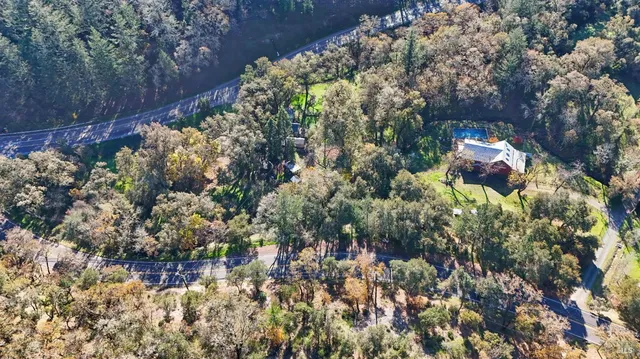 a view of a tree with a tree